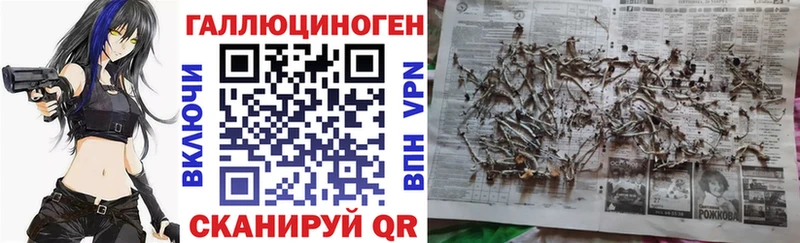 MEGA ссылки  Усть-Кут  Псилоцибиновые грибы GOLDEN TEACHER  как найти закладки 