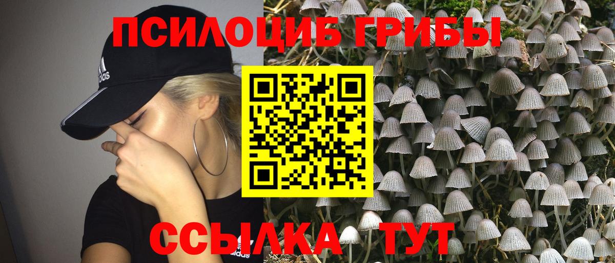 Усть-Кут  Псилоцибиновые грибы Magic Shrooms  Вход с VPN 