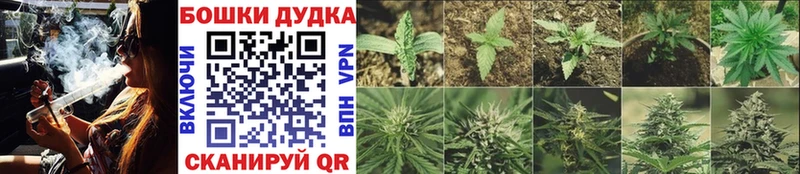 Шишки марихуана ГИДРОПОН  дарнет шоп  Усть-Кут 